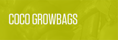 Coco Growbags